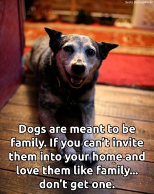 Keep your dog in the family